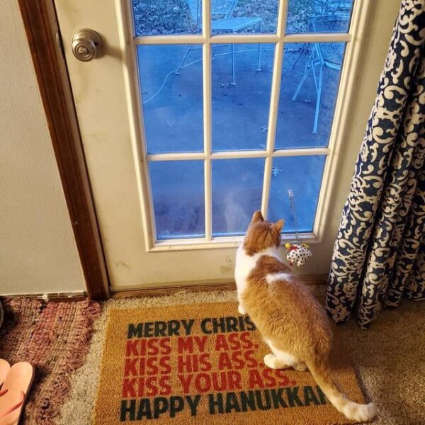 😂Funny Christmas Doormat