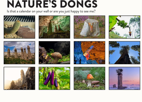 😆FUNNIEST CALENDAR OF THE CENTURY | 2025 Nature Funny Adult Shaped Pics Calendar