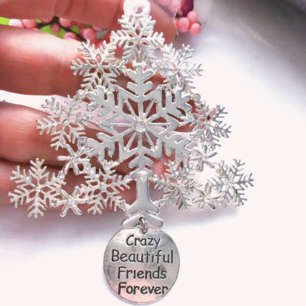 🌲Christmas Hot Sale 80% OFF💕Love for Friend/Family/Neighbors Gift Decoration🎁