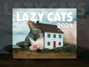 🐈2024 LAZY CAT CALENDAR