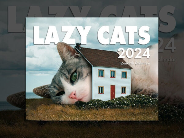 🐈2024 LAZY CAT CALENDAR