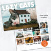 🐈2024 LAZY CAT CALENDAR