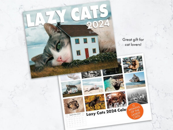 🐈2024 LAZY CAT CALENDAR