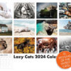 🐈2024 LAZY CAT CALENDAR