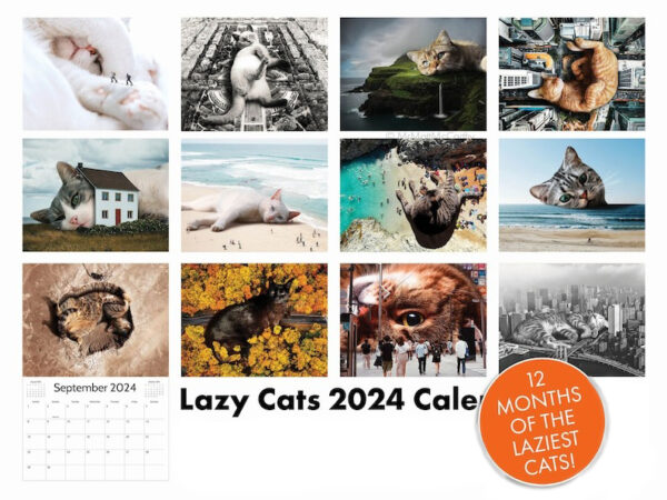 🐈2024 LAZY CAT CALENDAR