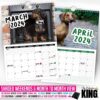 🤣Cheeky Dachshunds - 2024 Wall Calendar