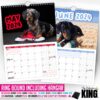 🤣Cheeky Dachshunds - 2024 Wall Calendar