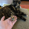 🔥Hot Sale🔥 - 🐈Kitty Ciniature Sculpture
