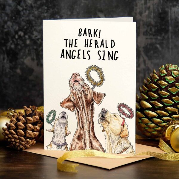 🔥Amusing 🔥 card Set 🎄