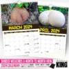 World's Greatest Mushrooms - 2024 Wall Calendar