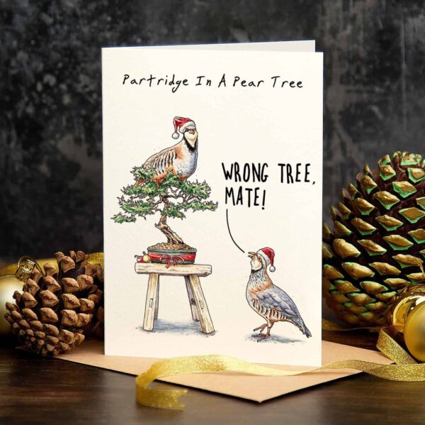 🔥Amusing 🔥 card Set 🎄