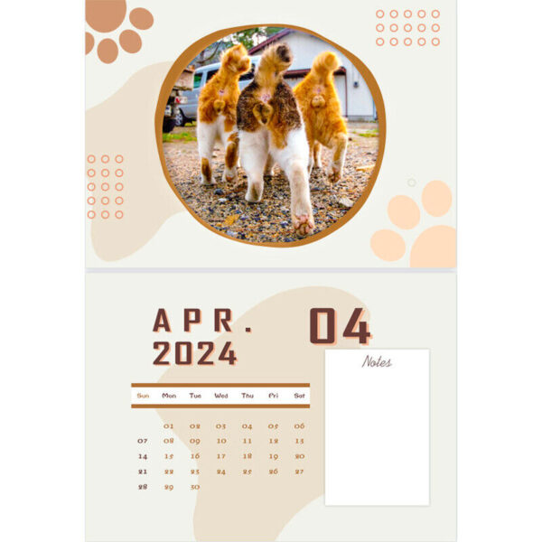 🐱Funny Cat Butts Calendar 2024 For Cat Lovers💖