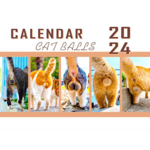 🐱Funny Cat Butts Calendar 2024 For Cat Lovers💖