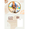 🐱Funny Cat Butts Calendar 2024 For Cat Lovers💖