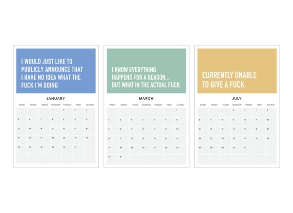 2025 CALENDAR ADULTING IS HARD