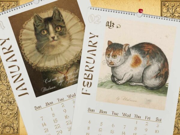 Christmas Sale  80% OFF✨2024 Wall Hanging Calendar. Funny Art Novelty Gift