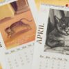 Christmas Sale  80% OFF✨2024 Wall Hanging Calendar. Funny Art Novelty Gift