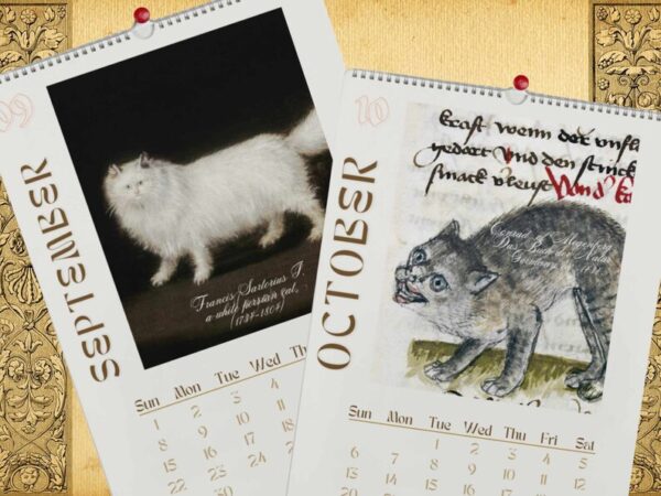 Christmas Sale  80% OFF✨2024 Wall Hanging Calendar. Funny Art Novelty Gift