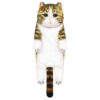 💕New Arrival💕 😺Cute Cat Hand Towel🐾