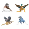 😆2025 CALENDAR OF EXTREMELY ACCURATE BIRDS