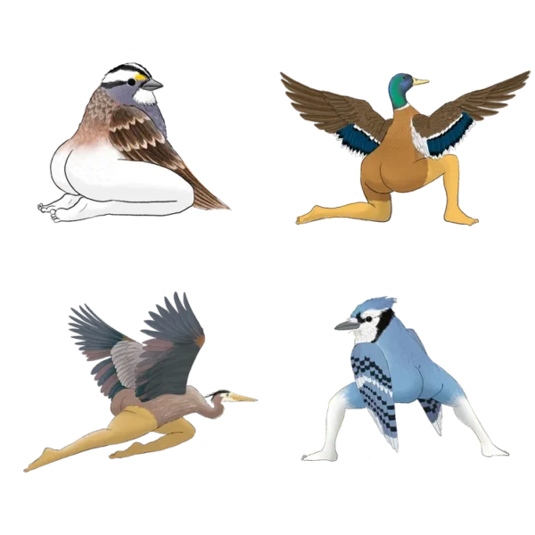😆2025 CALENDAR OF EXTREMELY ACCURATE BIRDS