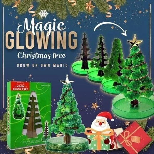 💧Water to Grow💦 - DIY Magic Crystal Christmas Tree🎄