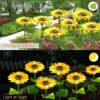 SOLAR SUNFLOWER OUTDOOR GARDEN LIGHT