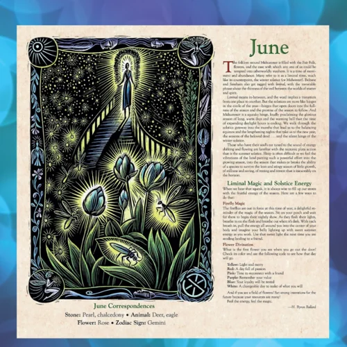 🎁Christmas Sale 80% OFF✨-🔮2024 Witches' Wall Calendar