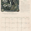🔥Hot Sale 49% OFF - 2025 Witches' Calendar