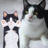 💕New Arrival💕 😺Cute Cat Hand Towel🐾