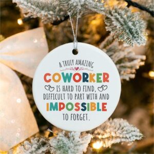 🥰TO-COWORKER🎁Emotional Support Ornament Gift