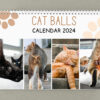 😆Funniest Calendar Of The Century | Funny Cat Calendar 2024