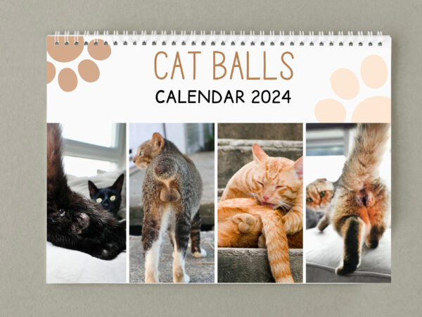 😆Funniest Calendar Of The Century | Funny Cat Calendar 2024