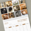 😆Funniest Calendar Of The Century | Funny Cat Calendar 2024