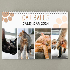 😆Funniest Calendar Of The Century | Funny Cat Calendar 2024
