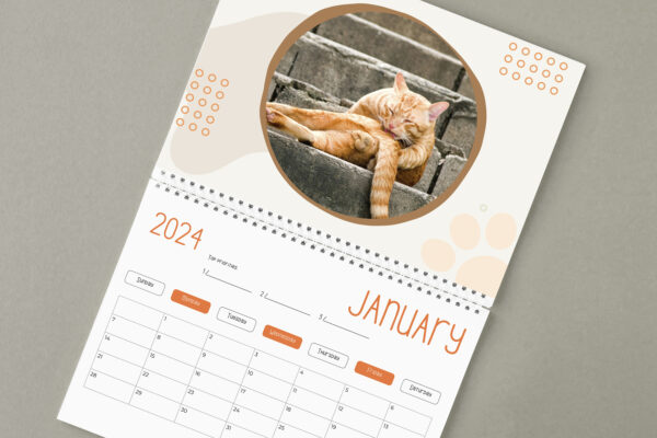😆Funniest Calendar Of The Century | Funny Cat Calendar 2024